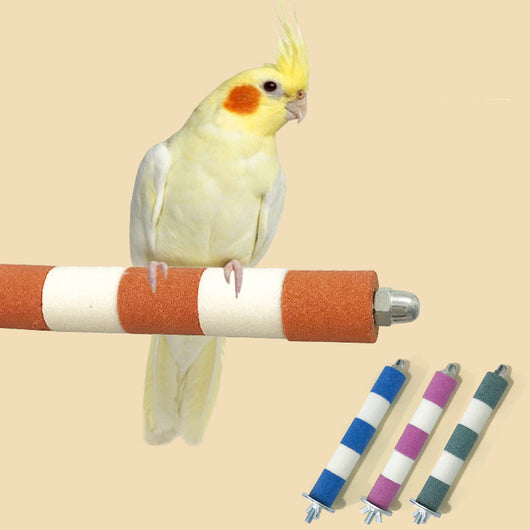 Juguete Mordedor de Loro Colorido para Mascotas - Image 16
