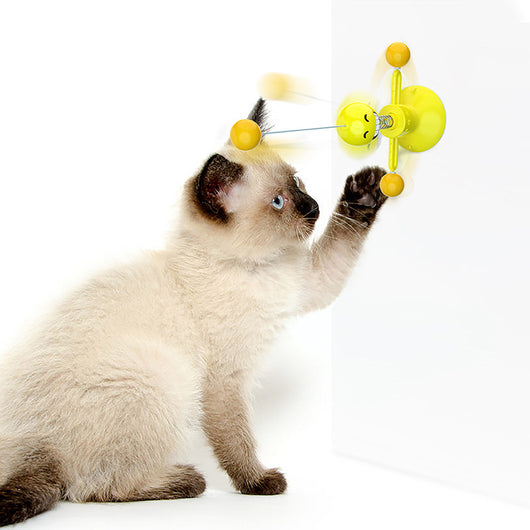 Juguete Interactivo para Gatos con Resorte - Image 8