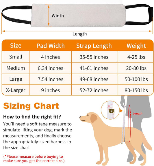 Arnés de Soporte para Patas Traseras de Perros - Rehabilitación de Ligamentos - Image 2