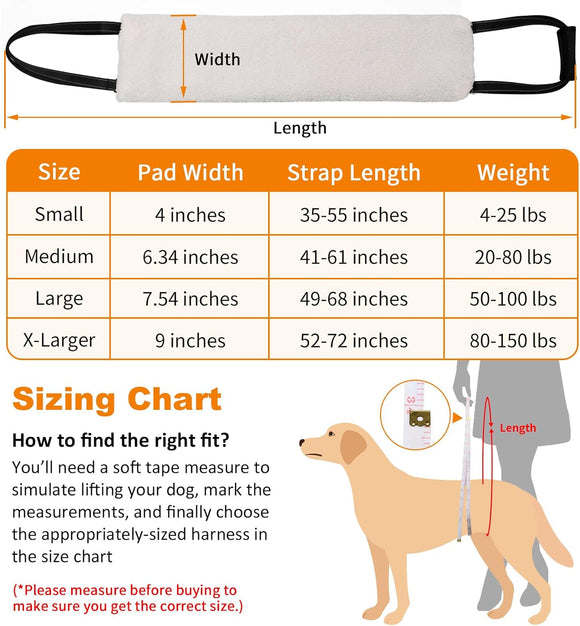 Arnés de Soporte para Patas Traseras de Perros - Rehabilitación de Ligamentos