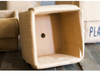 Maceta Creativa de Papel Cemento para Plantas de Interior y Balcón - Image 12