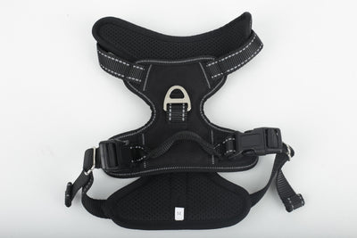 Arnés de Paseo para Perros Grandes con Cuerda de Sostén - Image 7