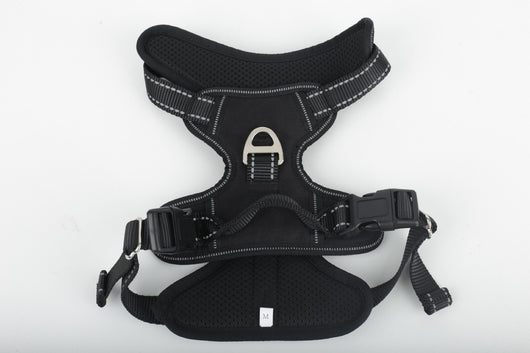 Arnés de Paseo para Perros Grandes con Cuerda de Sostén - Image 7