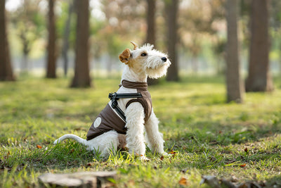 Chaleco Térmico Protector para Perros - Image 19