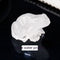 Specimen Popular Science Ornament Children's Gifts Blanco Crystal