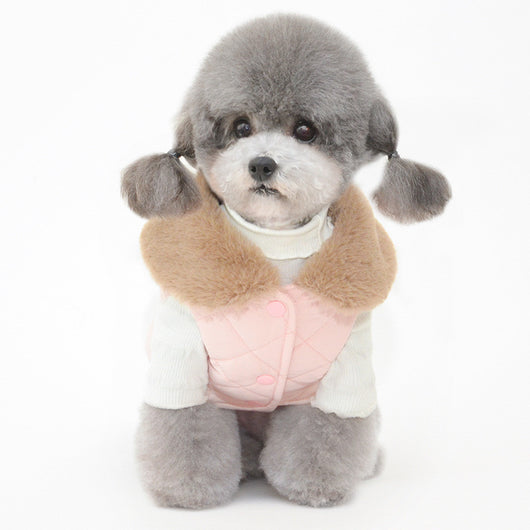 Ropa Térmica de Algodón para Mascotas - Abrigo Cálido Invierno - Image 4