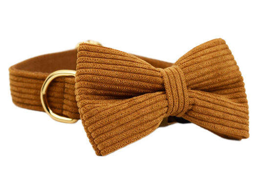 Collar para Mascota en Pana Caramelo - Image 13