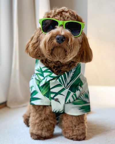 Playera Estilo Europeo y Americano con Diseño de Corgi y Shiba Inu - Image 2