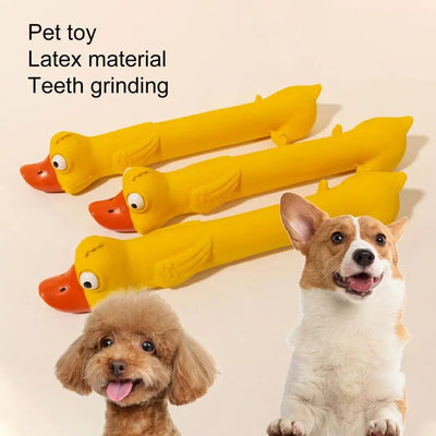 Juguete Dental de Látex para Perros con Diseño de Pato Amarillo - Alivio de Estrés y Limpieza de Dientes - Image 10