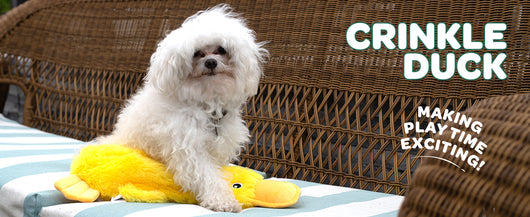 Juguetes para Perros Pato de Goma - Todas las Razas, Pequeños a Grandes - Image 11