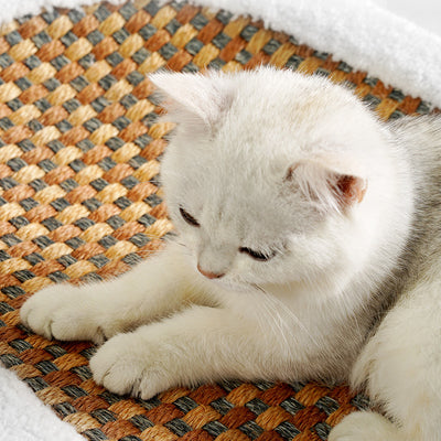 Nido Ovalado para Gatos con Tabla Rascadora de Sisal Resistente - Image 3