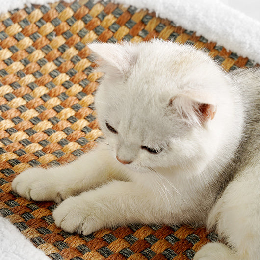 Nido Ovalado para Gatos con Tabla Rascadora de Sisal Resistente - Image 3