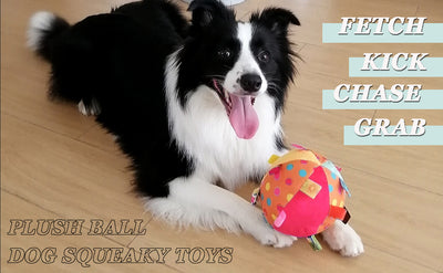 Juguetes Interactivos para Perros con Sonidos y Pelotas Chirriantes - Image 14