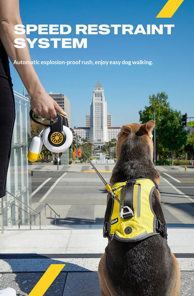 Correa Retráctil Automática Anti-Jalones para Perros - Image 7
