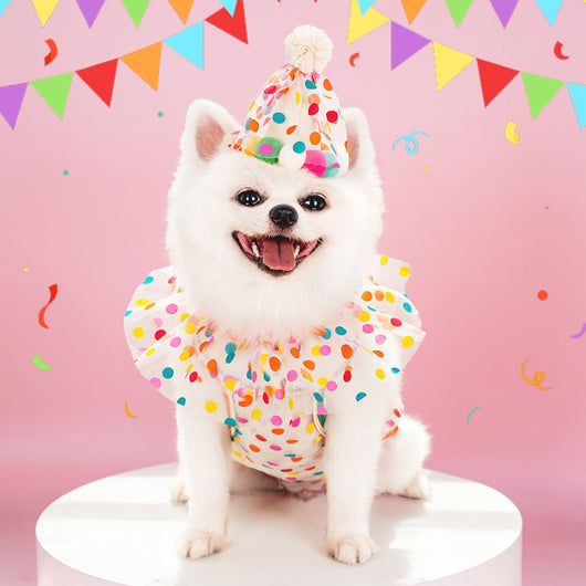 Traje de Cumpleaños para Perro con Encaje y Lunares - Image 2