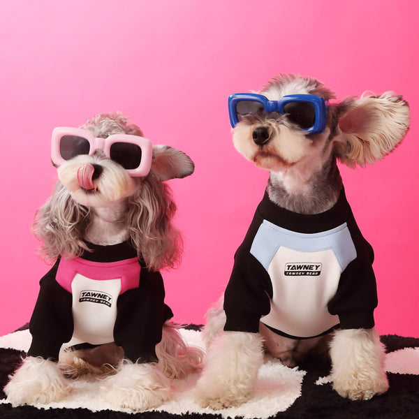 Suéter con Cierre para Perro - Diseño Acolchado y Cómodo