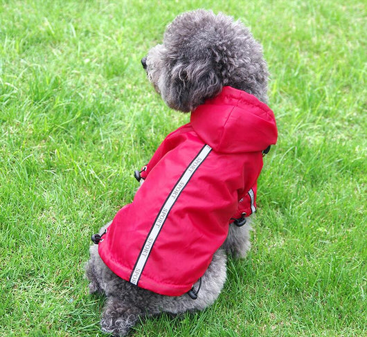 Impermeable con Capucha Cálido para Perros - Image 8