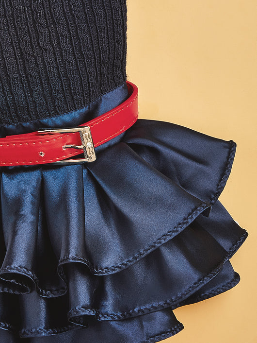 Conjunto de Abrigo y Falda para Mascotas - Otoño e Invierno - Image 12