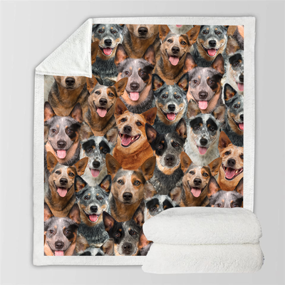 Manta de Franela Estampada para Perros de Diseño Moderno - Image 91