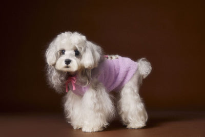 Chaleco Sudadera con Capucha y Estampado de Perrito - Image 3