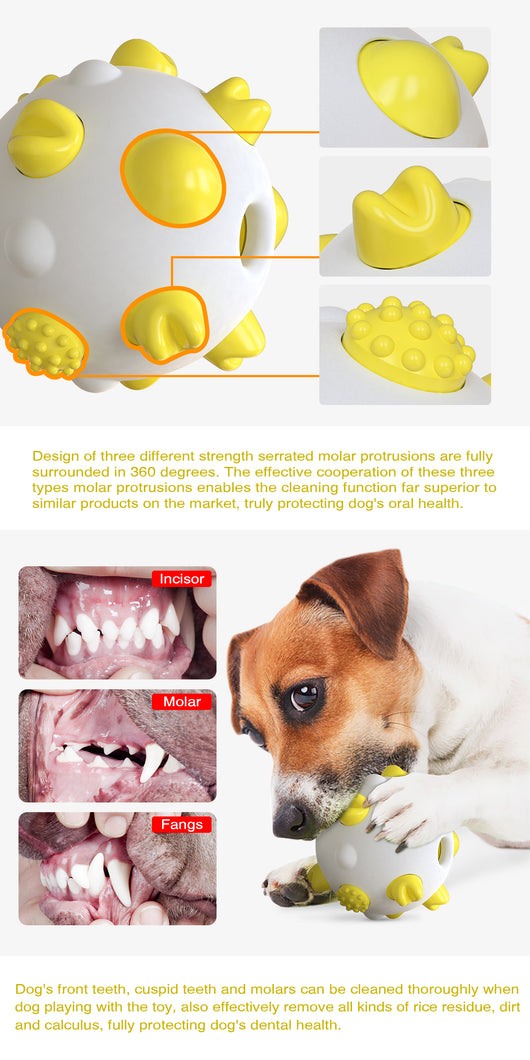 Juguete Pelota Interactiva para Perros - Limpieza Dental, Entrenamiento Mental y Alivio del Estrés - Image 14