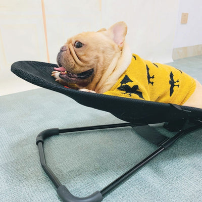 Mecedora Portátil para Perros - Comodidad y Relajación para tu Mascota - Image 22