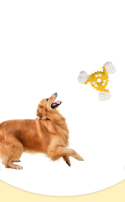 Juguete Masticable Triangular para Perros - Limpieza Dental y Alivio de Estrés - Image 13