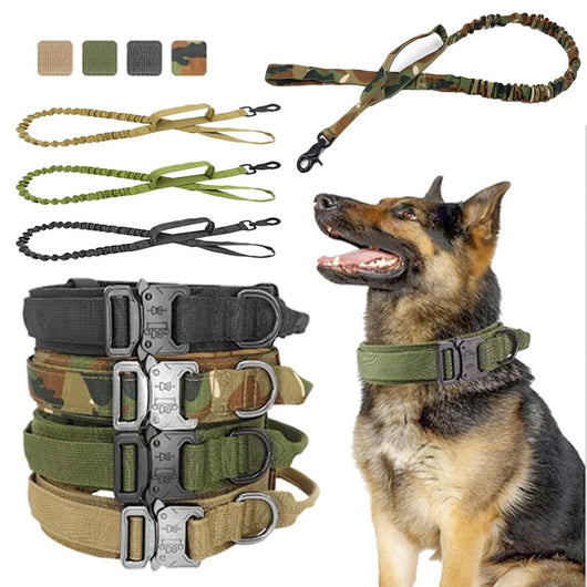 Collar de Nylon para Perros Medianos y Grandes - Image 6
