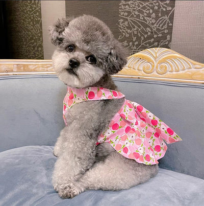 Falda de Algodón para Perro Azul y Blanco con Correa de Mano - Image 14