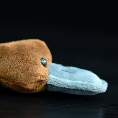 Peluche Ornitorrinco Adorable para Niños - Image 12