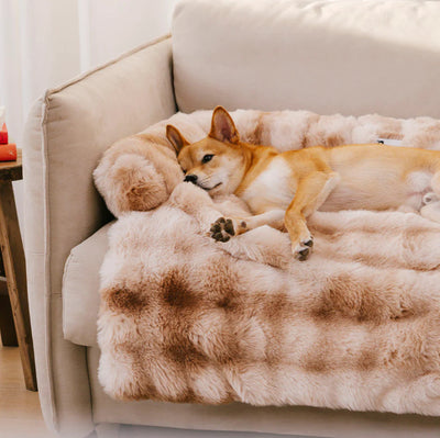 Sofá Cama Desmontable para Mascotas con Cojín Lavable - Image 11