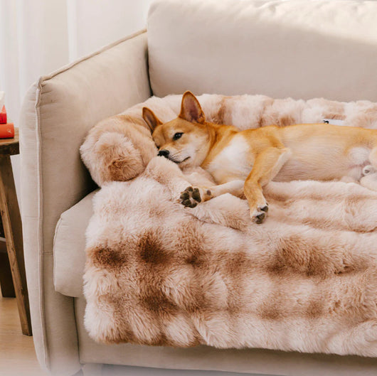 Sofá Cama Desmontable para Mascotas con Cojín Lavable - Image 11