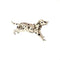 Leopardo