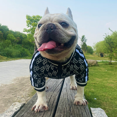 Chamarra Elástica con Cierre para Perros - Ropa Cómoda para Mascotas