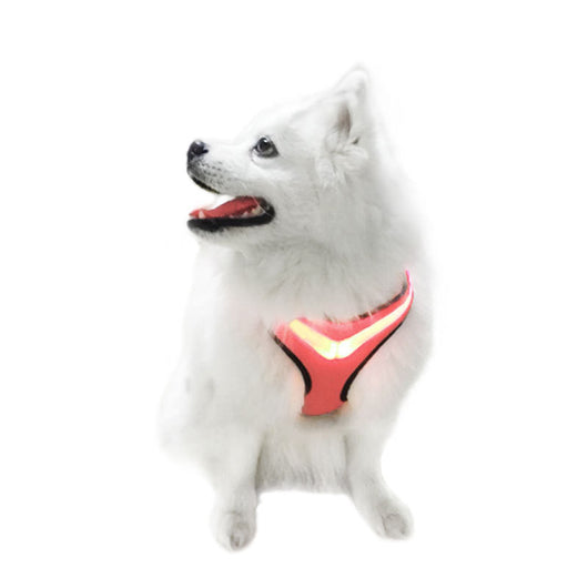 Arnés LED Iluminado para Perros con Carga USB - Image 9