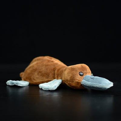 Peluche Ornitorrinco Adorable para Niños - Image 6