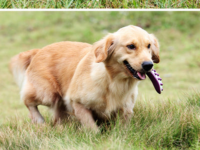 Juguete Resistente para Perros Grandes - Simulador de Carne con Aroma Natural - Image 12