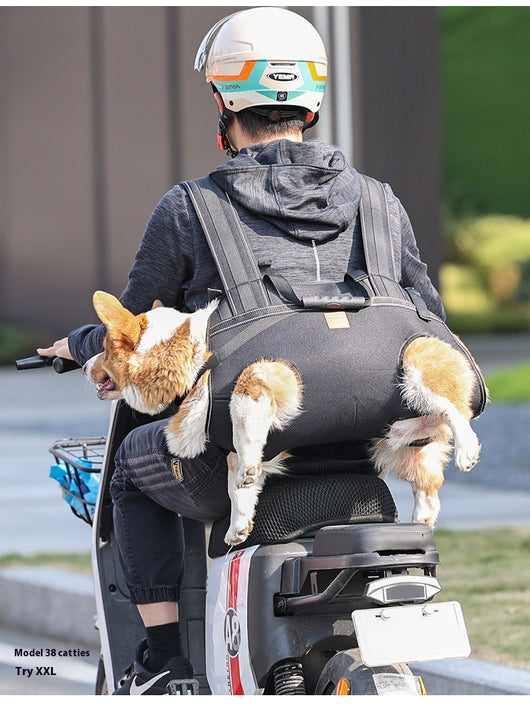 Mochila de Transporte para Perros Medianos y Grandes - Image 13
