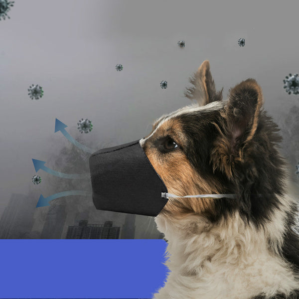 Protector Bucal para Mascotas al Aire Libre