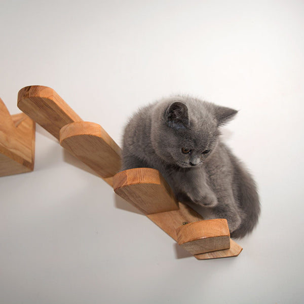 Escaleras y Plataformas para Gatos en Madera Sólida con Trampolines