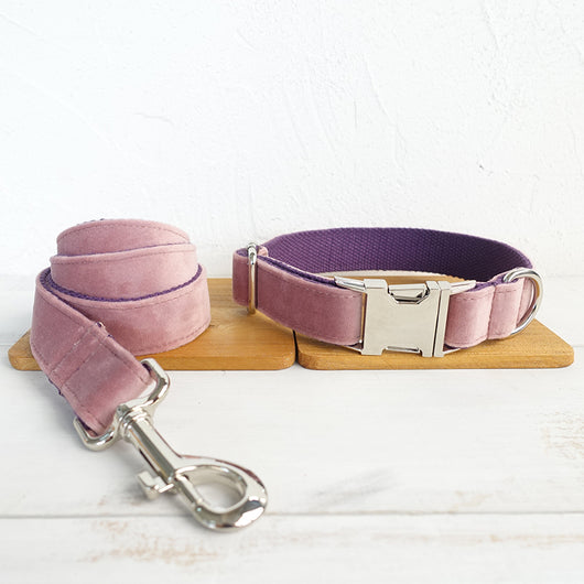 Collar Rosa para Perro - Image 6