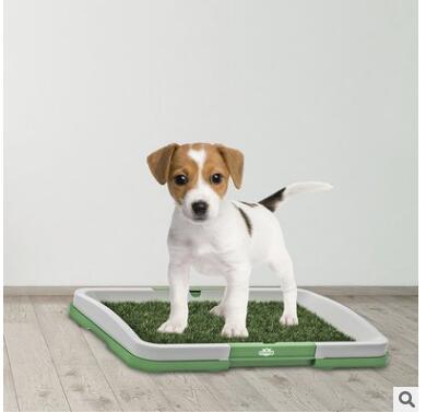 Inodoro Portátil para Perros con Césped Artificial - Image 6