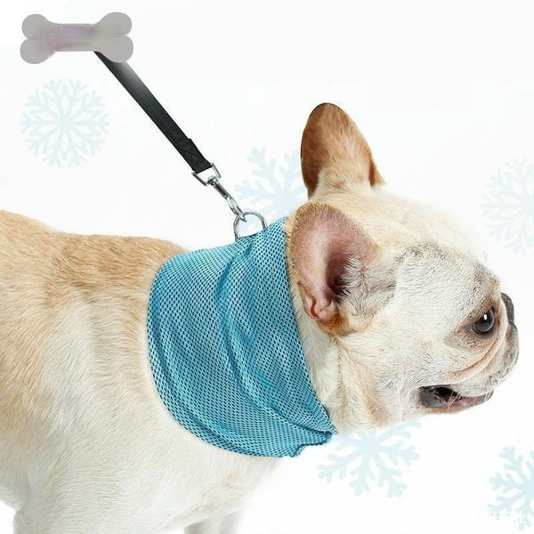 Pañuelo Refrescante para Perros - Bandana Enfriadora de Verano