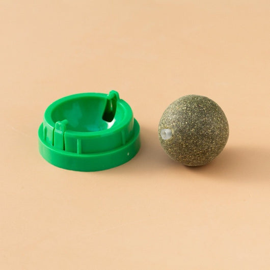 Juguete Interactivo de Menta Gatuna con Limpieza Dental para Gatos - Image 26