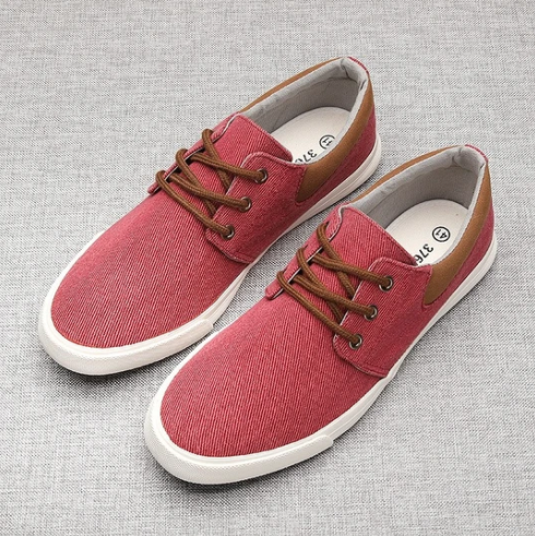 Zapatos de Lona para Hombre con Suela Flexible - Image 4