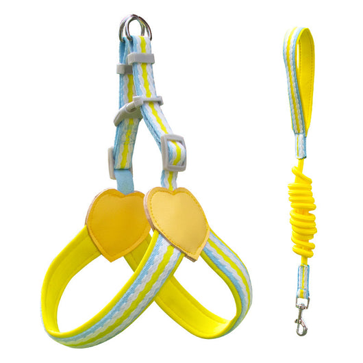 Arnés de Pecho con Correa para Pasear Perros - Control Seguro y Cómodo - Image 11