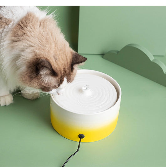 Fuente de Agua Automática para Gatos con Cerámica y Tecnología Eléctrica - Image 25
