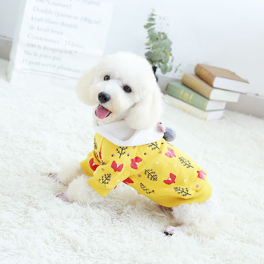 Osito de Peluche con Ropa de Combate para Mascotas - Image 4