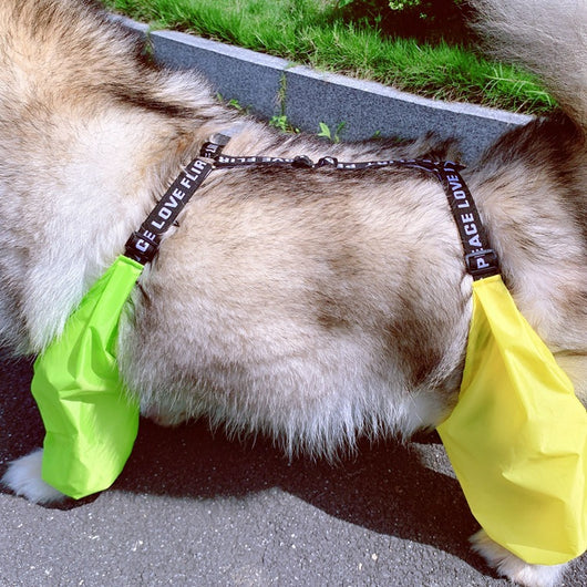 Impermeable Ajustable para Perros de Cuatro Patas - Image 22