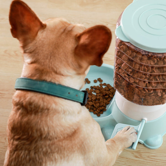 Comedero Automático Inteligente para Perros - Image 2